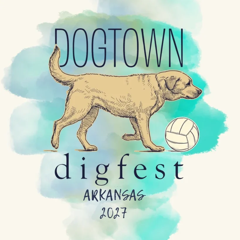 27_Dog_Town_Logo_large